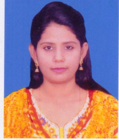 শংকর বাউল